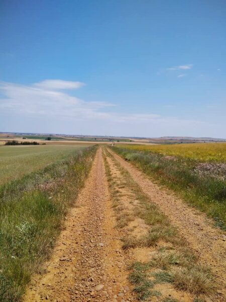 Caminos por la meseta