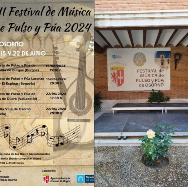 Festival