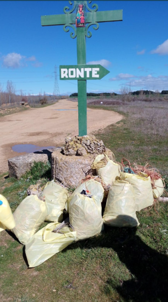 Ronte