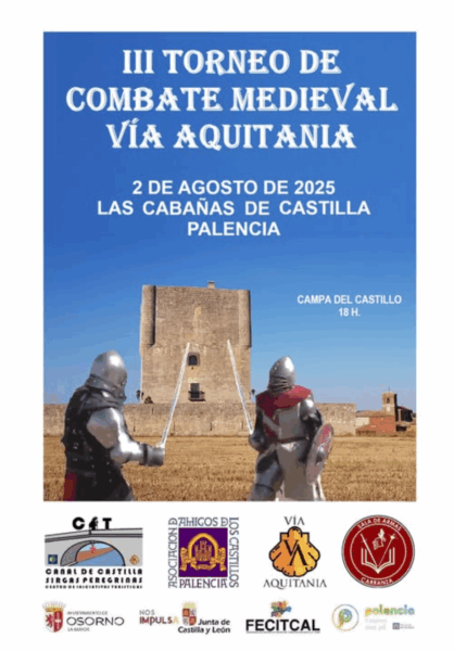 Combate Medieval